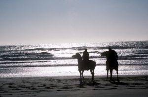 corpus christi beach horse back riding